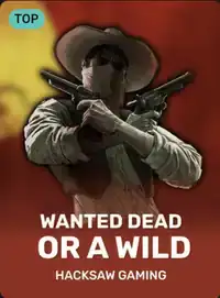 Wanted Dead or a Wild von Hacksaw Gaming im Hollywin Casino